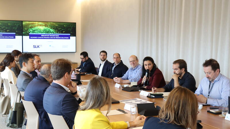 SLK Brazil Roundtable