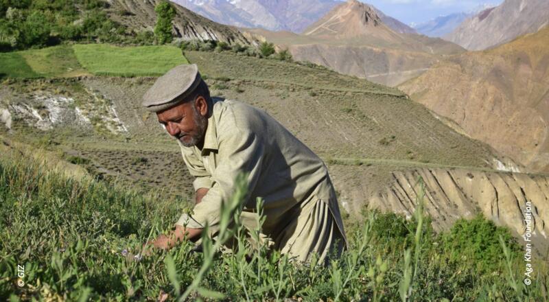 Funding Landscape and Opportunities for SMEs and Startups in Pakistan's Climate Sector